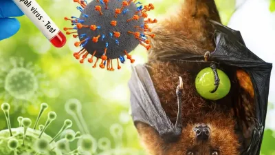 Virus Nipah dan Kewaspadaan Nasional: Mengapa Indonesia Tetap Siaga Meski Nol Kasus