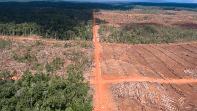 Pakar Ingatkan Bahaya Nyata: Deforestasi Kalimantan–Papua Bisa Picu Banjir Lebih Besar