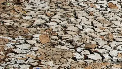 Dampak El Nino 2026 Dipantau, Ilmuwan Soroti Risiko dan Mitigasi