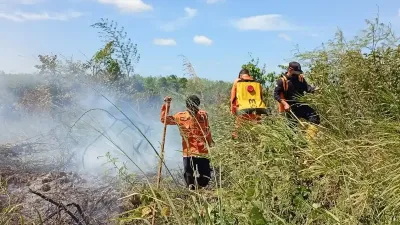 BNPB Catat Karhutla Dominasi Bencana 6-7 Agustus 2026, Tana Toraja Terbakar hingga 55 Hektare