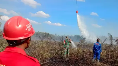 Update BNPB: Karhutla Mulai Terkendali, Fokus Beralih ke Pemantauan Titik Api dan Kekeringan Bandung