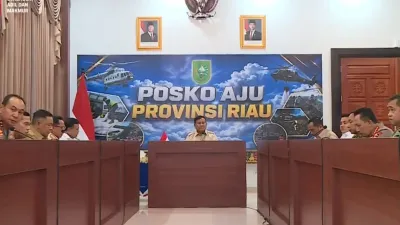 Karhutla Riau Capai 900 Hektare, 7 Titik Masih Terbakar