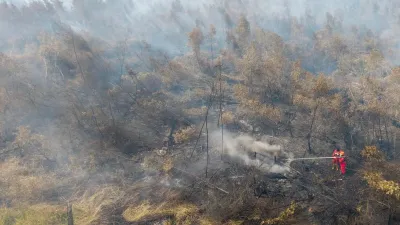 Korban Karhutla OKI, Fikri Tewas Padamkan Api Kebun Karet