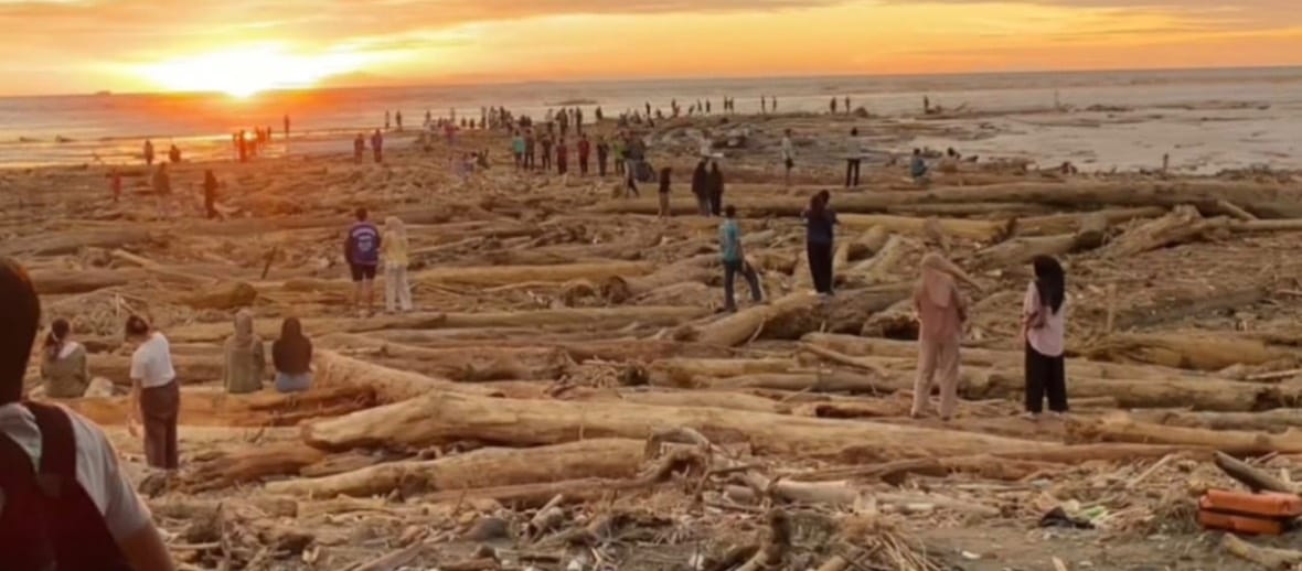 Ilegal Logging Penyebab Banjir Sumatera
