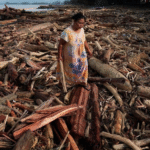 Illegal Logging Penyebab Banjir Sumatera