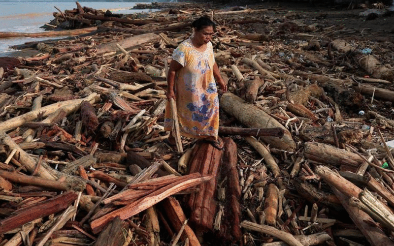 Illegal Logging Penyebab Banjir Sumatera