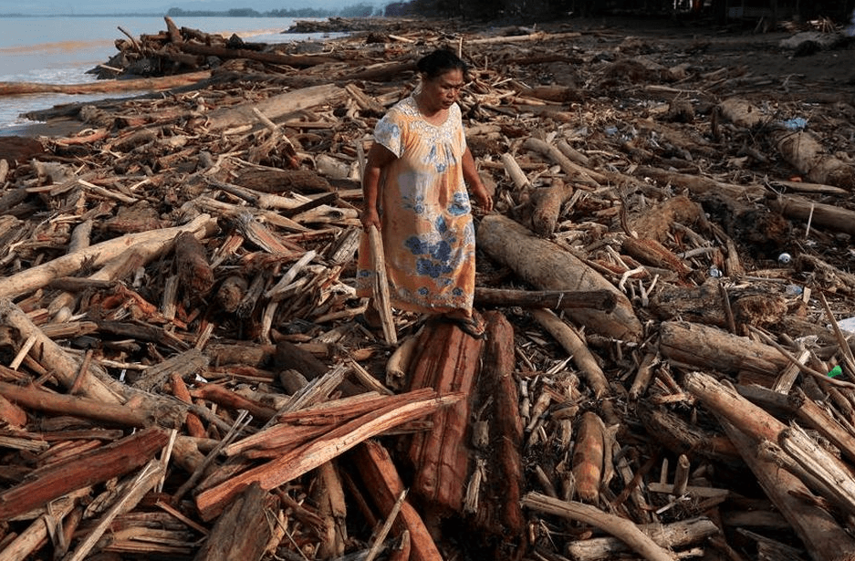 Illegal Logging Penyebab Banjir Sumatera