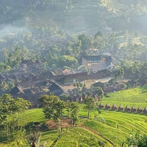 Di Gelar Alam, Padi Dijaga sebagai Nyawa dan Masa Depan