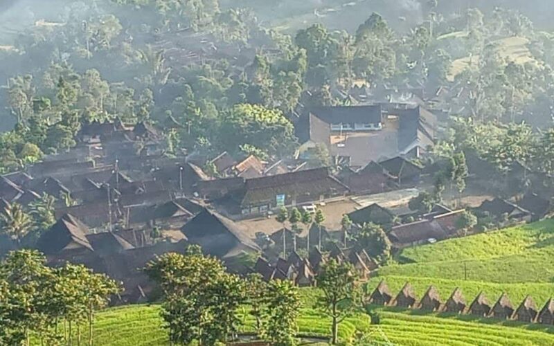 Di Gelar Alam, Padi Dijaga sebagai Nyawa dan Masa Depan