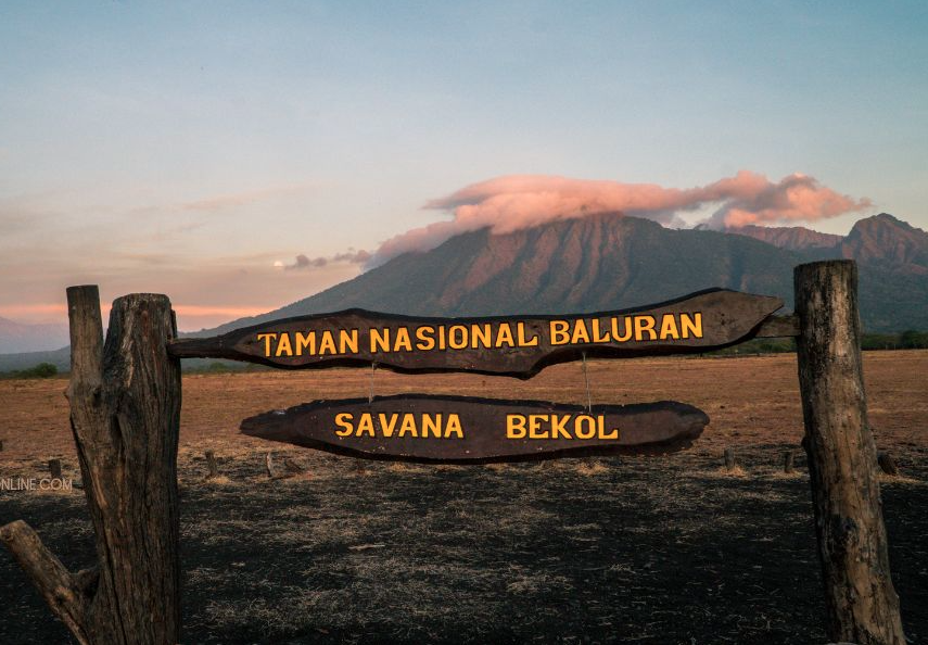 Taman Nasional Baluran Banyuputih