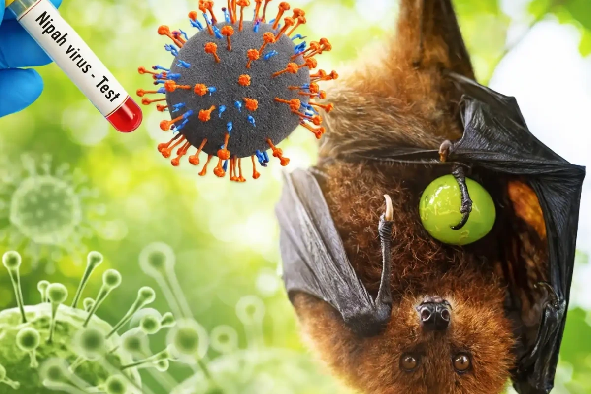 kewaspadaan virus Nipah