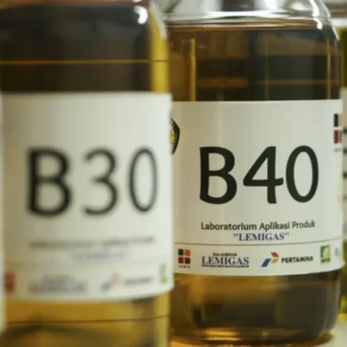Langkah Hati-hati Pemerintah Tunda B50 Demi Ketahanan Energi Rakyat