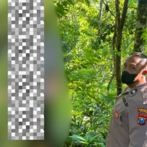 Guru Gantung Diri di Pacitan, Riwayat Gangguan Jiwa Terungkap