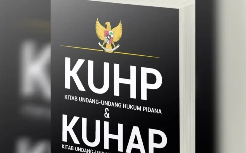 perlindungan hukum dalam KUHAP
