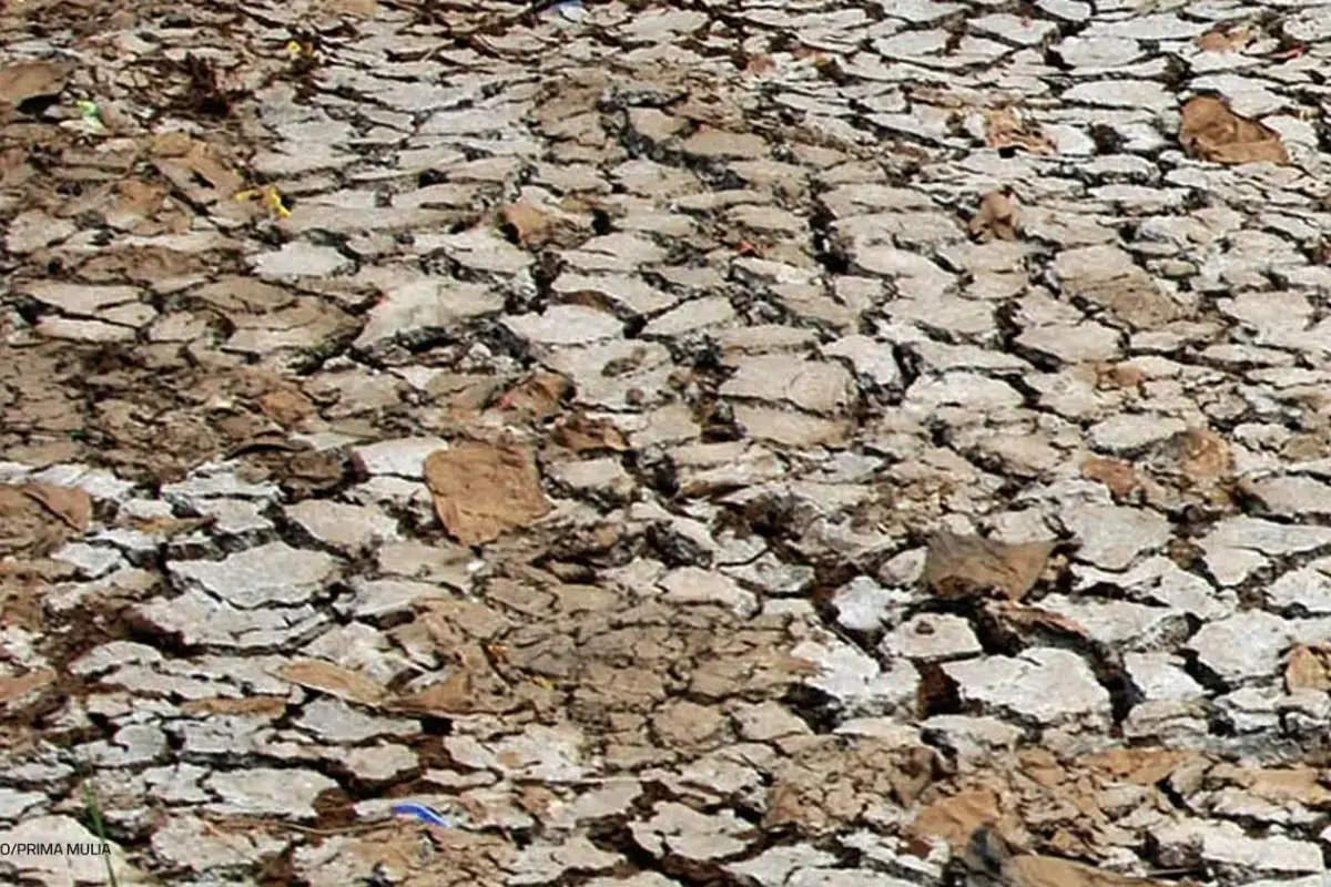 Dampak El Nino 2026