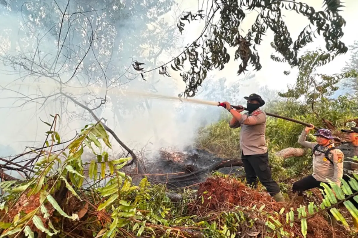 Kasus Karhutla Riau, sinar jiwa