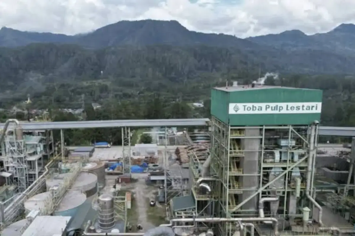 kasus TPL terbaru