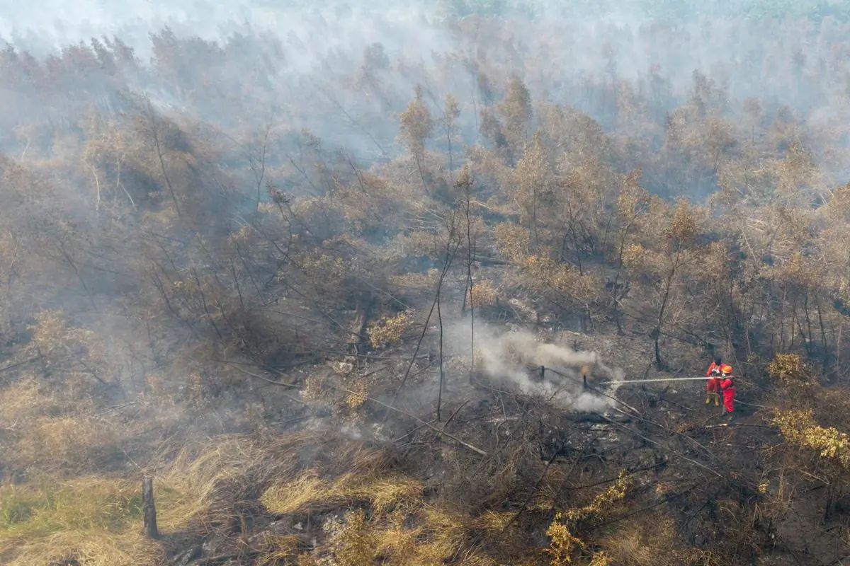 Korban karhutla OKI bertambah: Fikri (51) diduga menghirup asap tebal saat memadamkan api di kebun karet Pulau Beruang pada Sabtu (3/10).